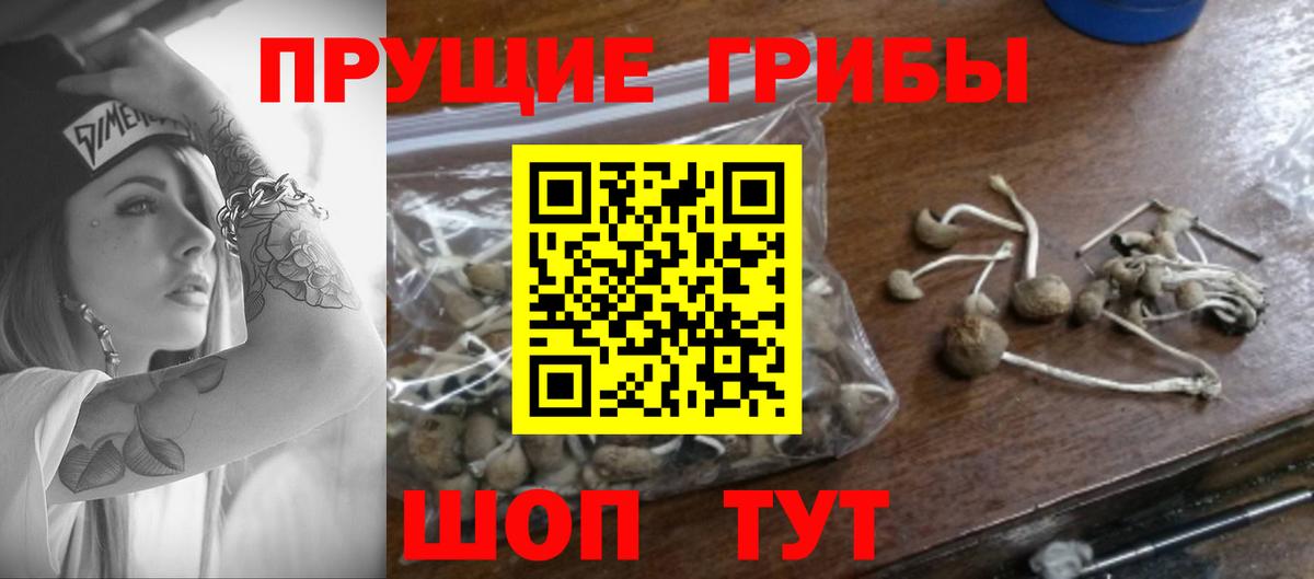 Псилоцибиновые грибы прущие грибы  Галлюциногенные грибы GOLDEN TEACHER  Вход с VPN  Энгельс 