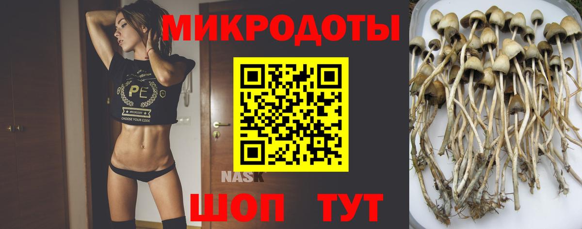 Псилоцибиновые грибы мухоморы Энгельс
